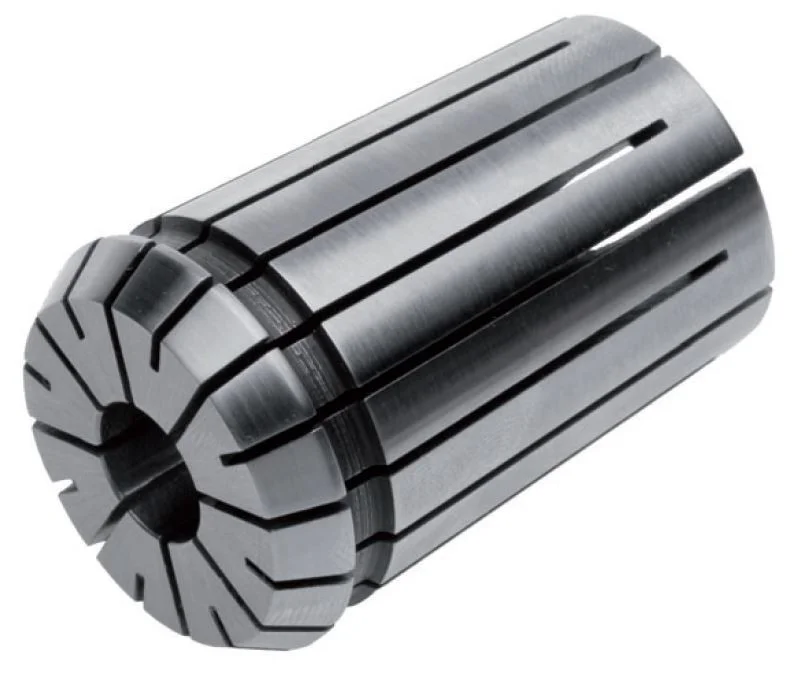 alicon1-2835107