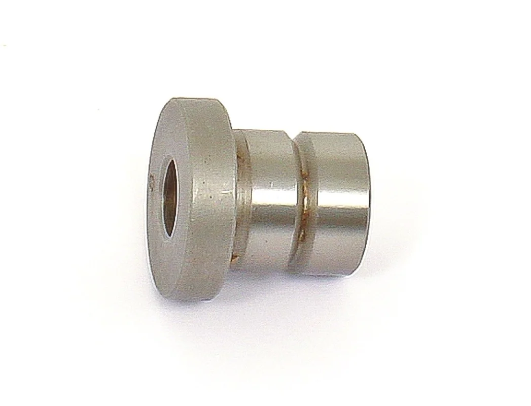 alicon1-2838613