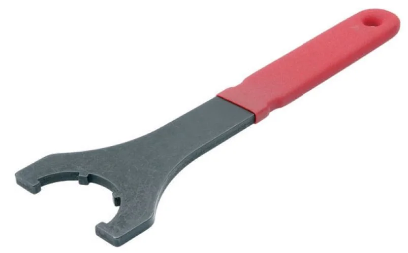 alicon1-2839571