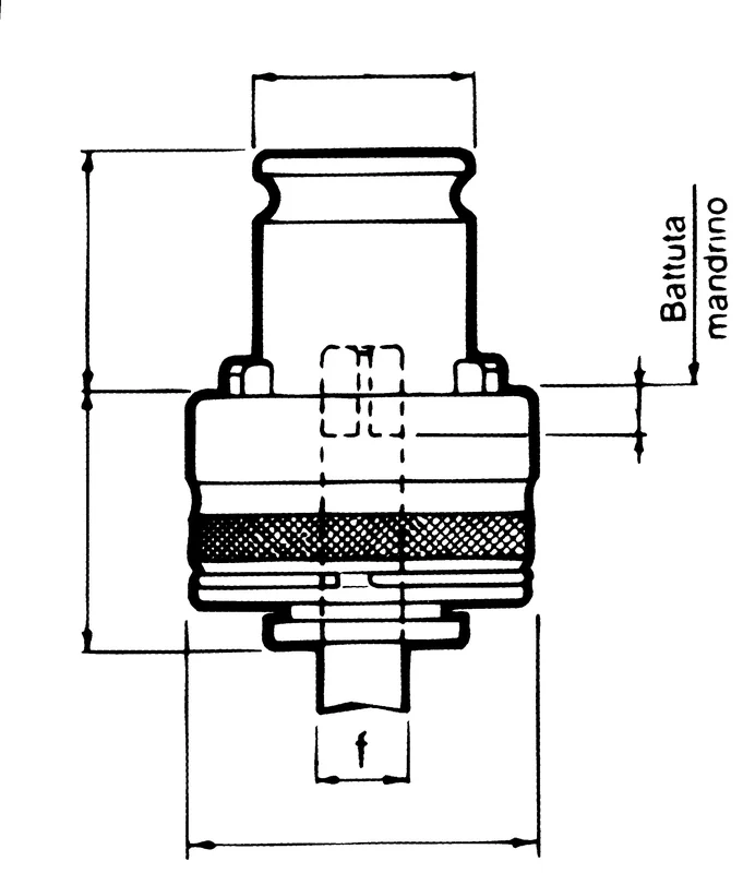 alicon1-2842538