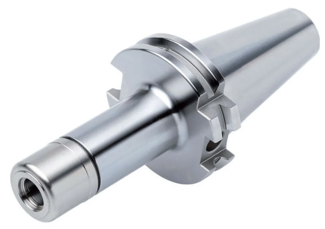 alicon1-2848365