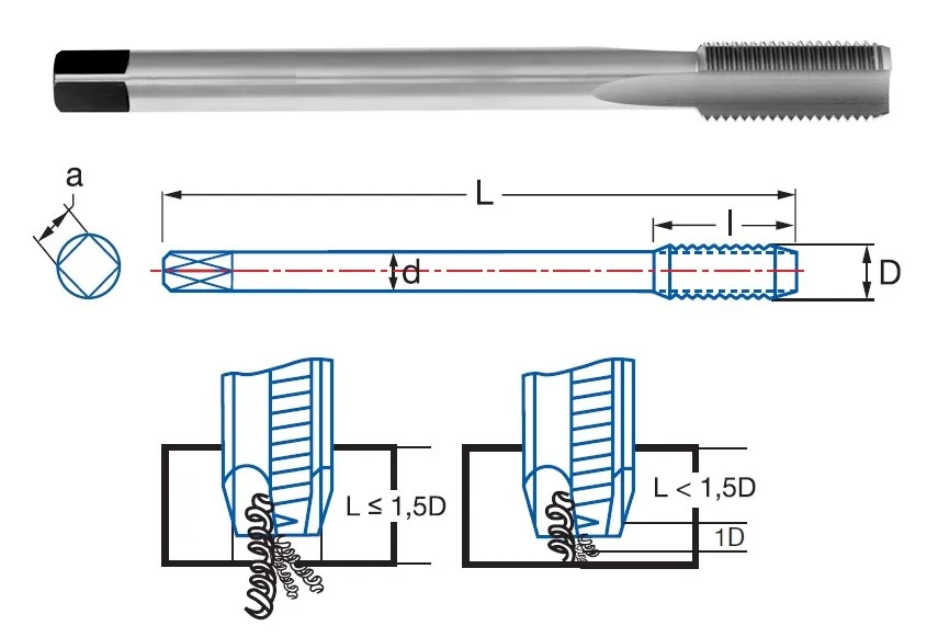 alicon1-2912319