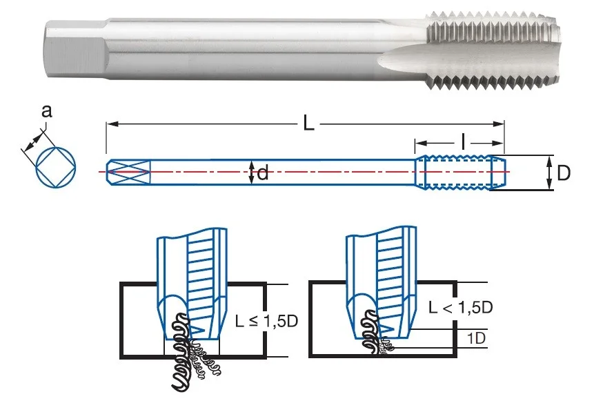 alicon1-2913296