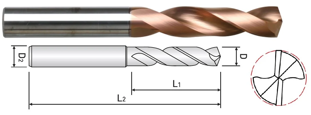 alicon1-2998940