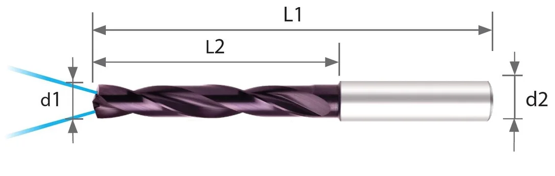 alicon1-3049529