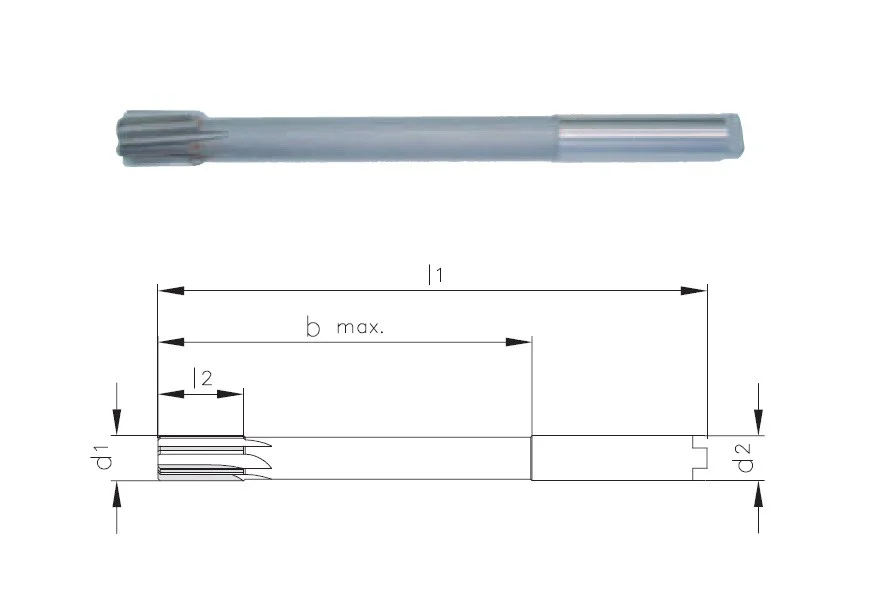 alicon1-3154887