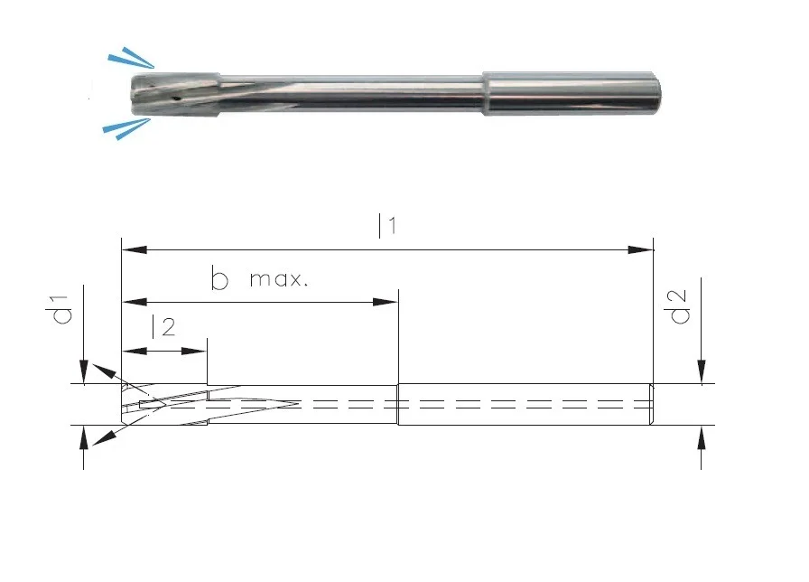 alicon1-3179565