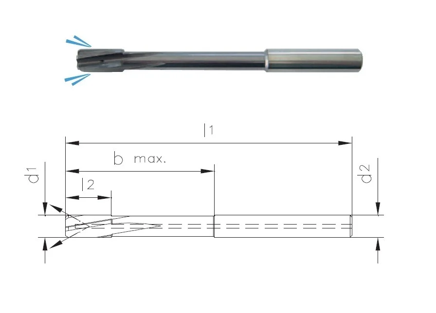 alicon1-3179910