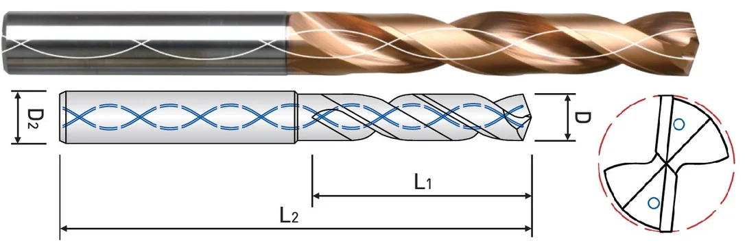 alicon1-3233377