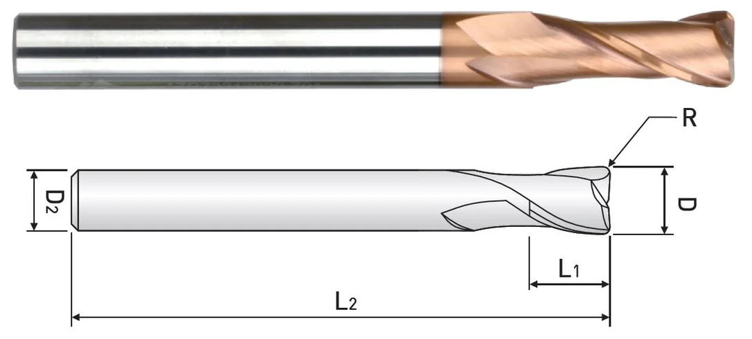 alicon1-3245589