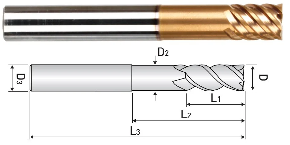 alicon1-3246034