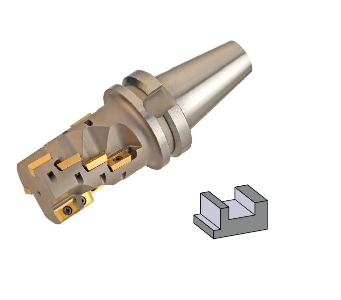 alicon2-2862345