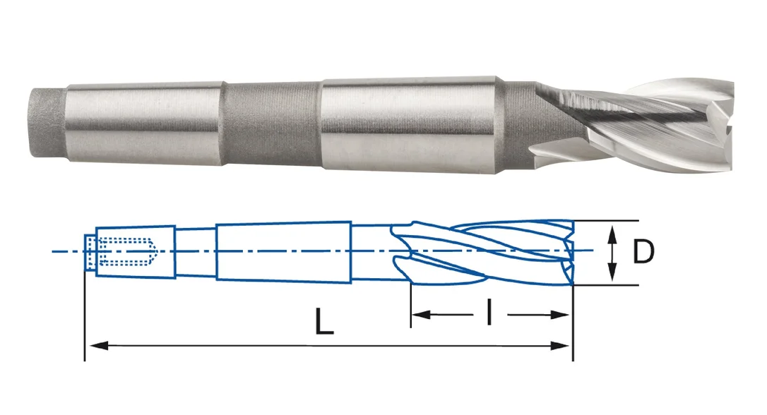 alicon2-2873930