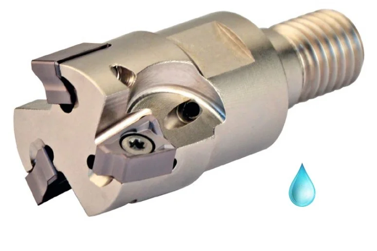 alicon2-2900483