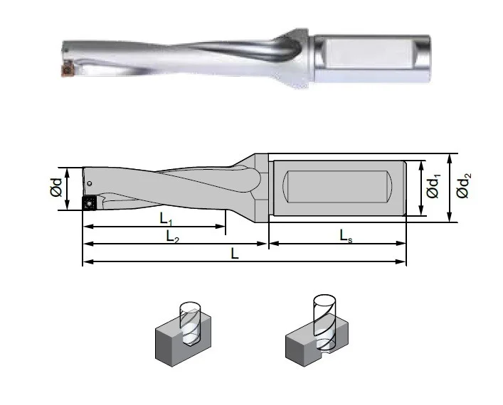 alicon2-3013786