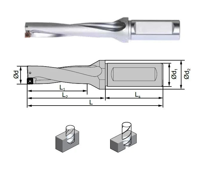 alicon2-3017987