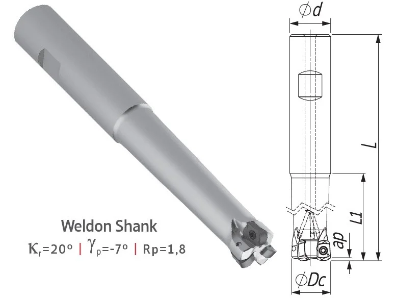 alicon2-3263161