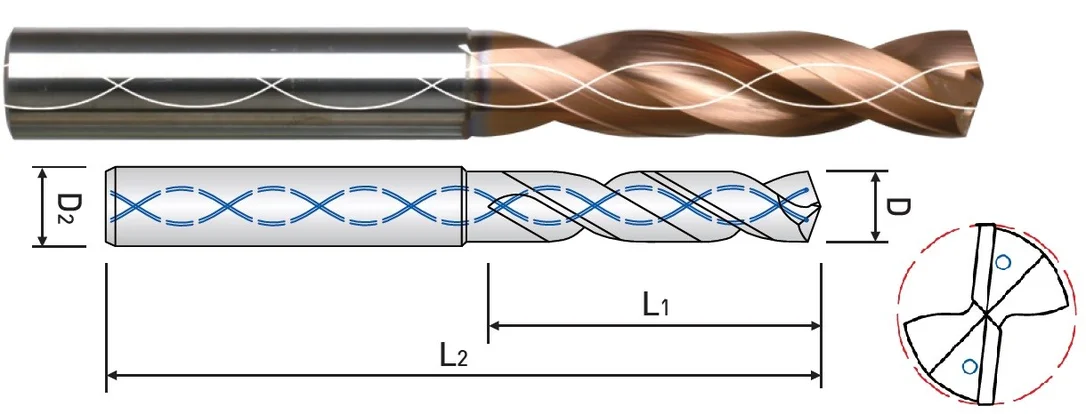 alicon3-3243424