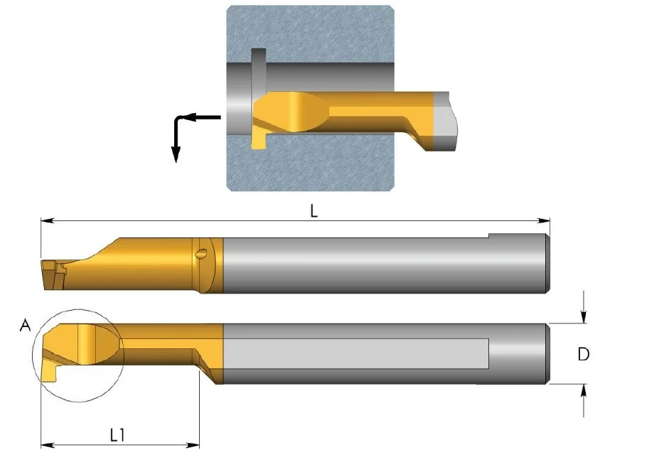 alicon5-2849481