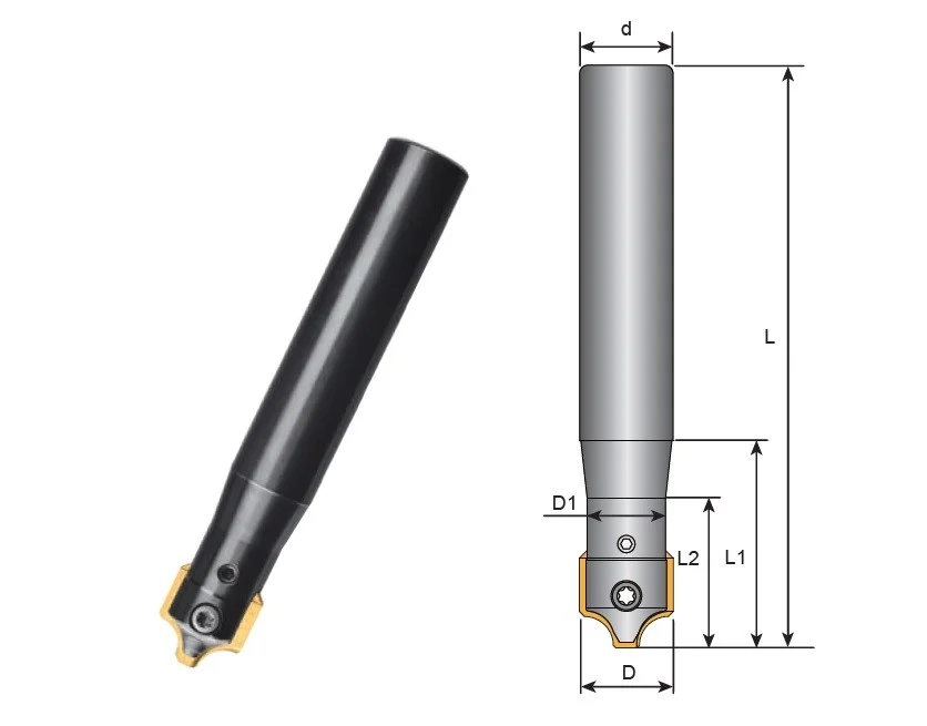 alicon5-2895339