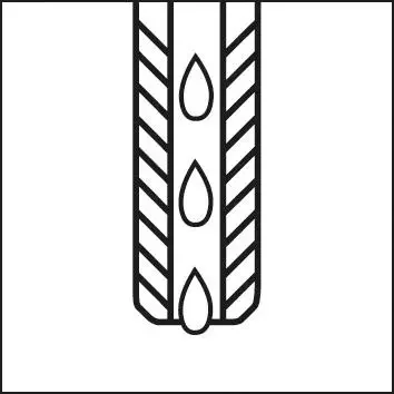 boukal1-3215869