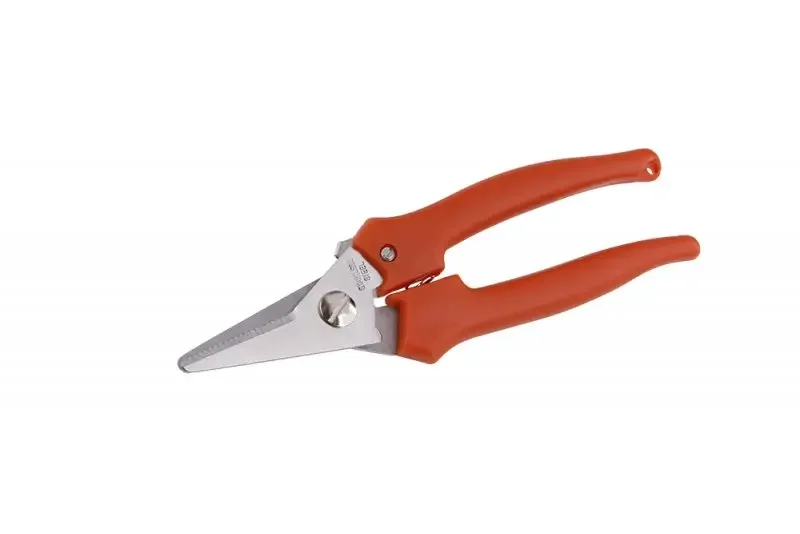 boukal1-3287758