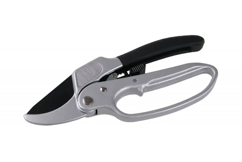boukal1-3289898