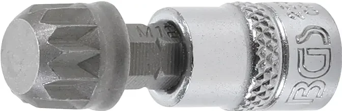 boukal1-3304489