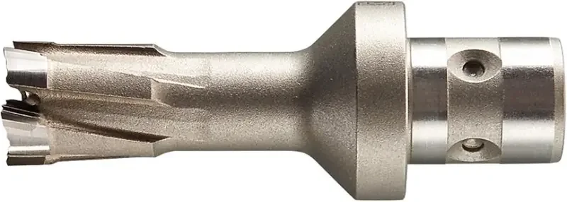 boukal1-3338862