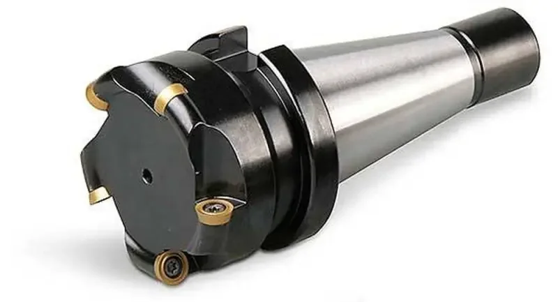 boukal1-3351446