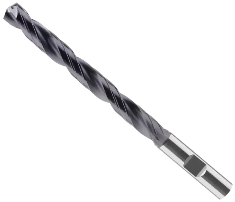 boukal1-3351840