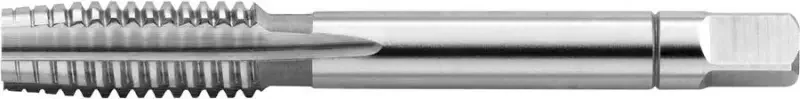 boukal2-3108893