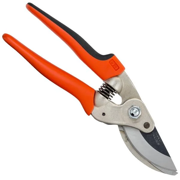 landsmann1-3259838