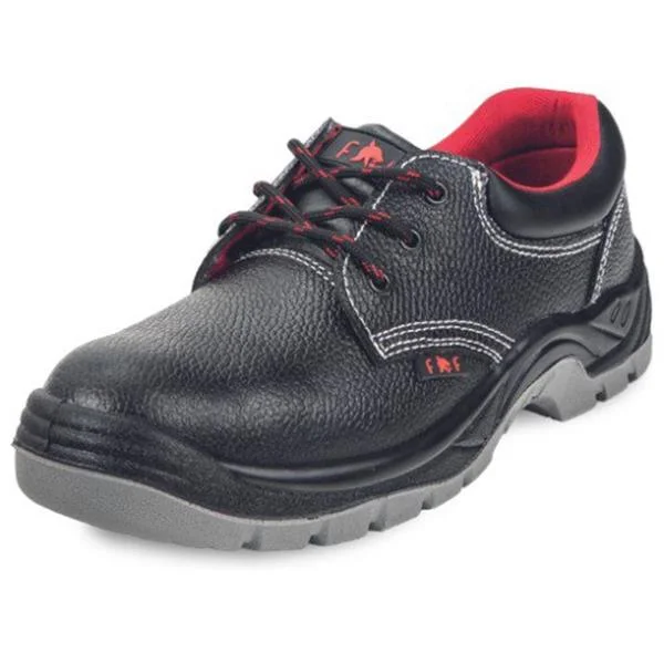 landsmann1-3336684