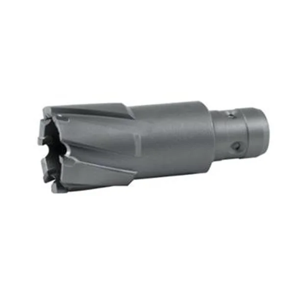 landsmann1-3337539
