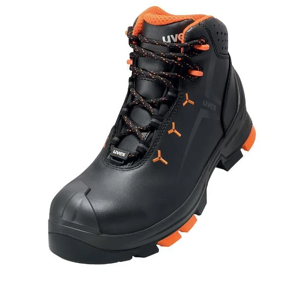landsmann2-2946061