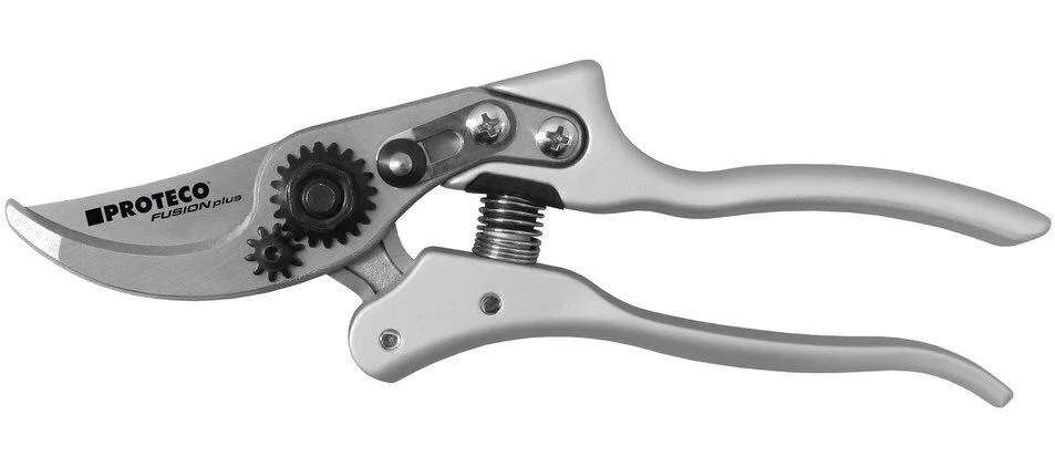 naradihornig-3150275