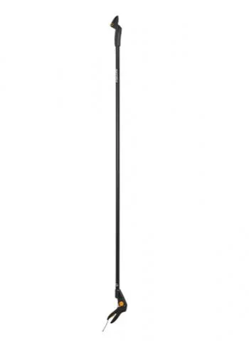 naradihornig-3182230