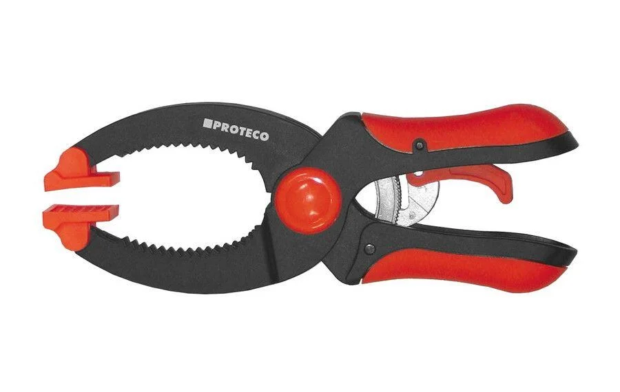 naradihornig-3206619
