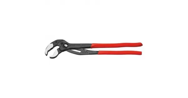 peddy-2908993