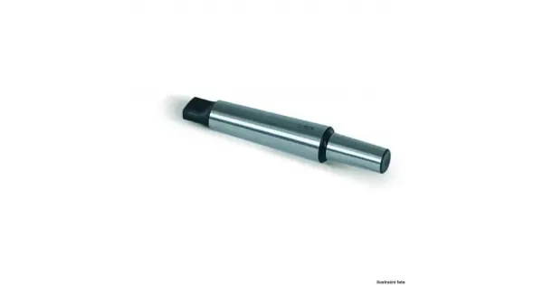 peddy-2916502