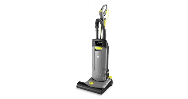 peddy-2927868