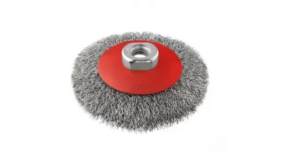 peddy-2930072