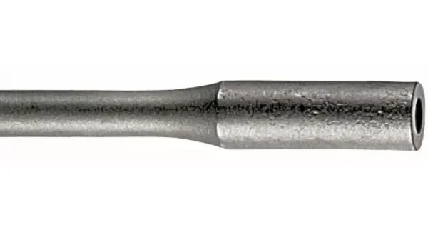 peddy-2930248