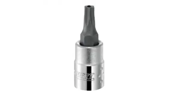 peddy-2960064