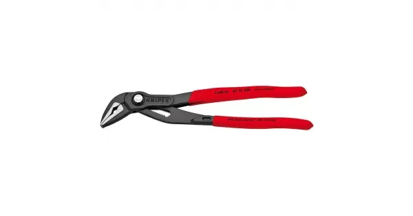 peddy-2972559