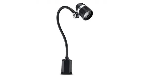 peddy-2979694