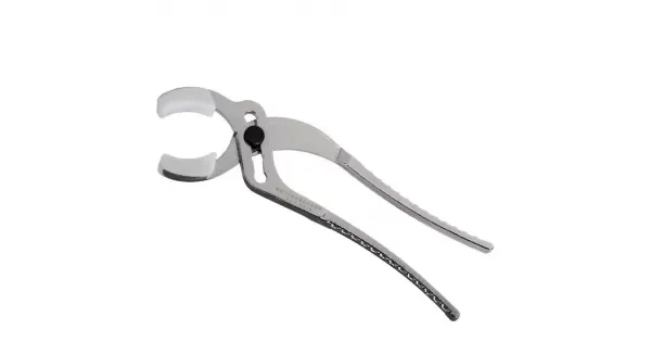 peddy-2984835
