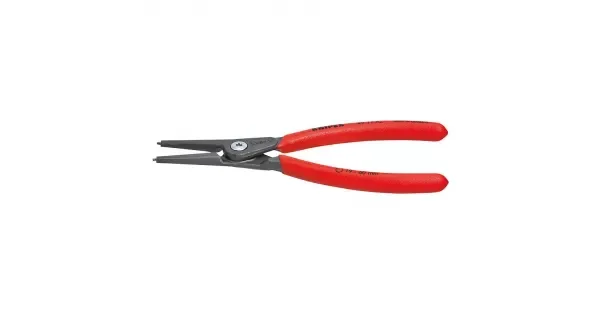 peddy-2991650