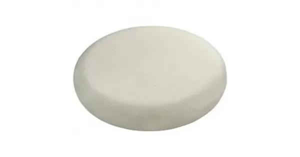 peddy-2995242